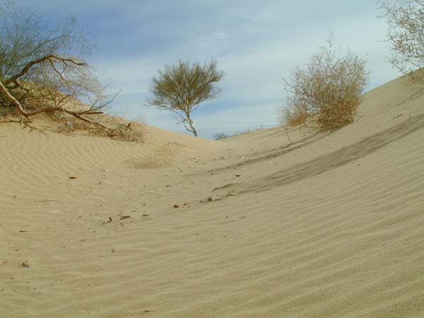 glamis200263